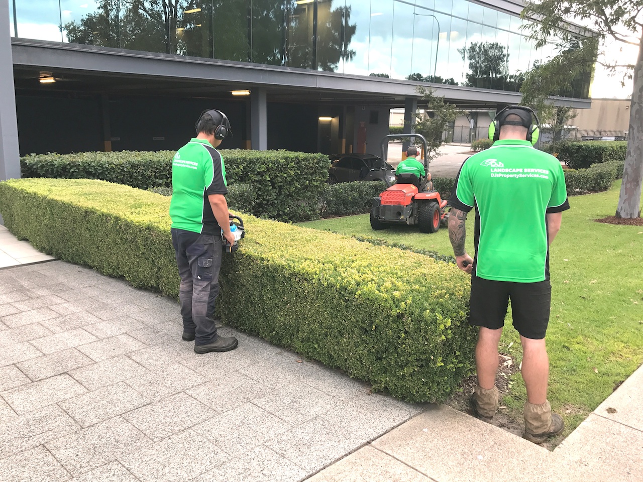 Join the DJ's Landscapes team