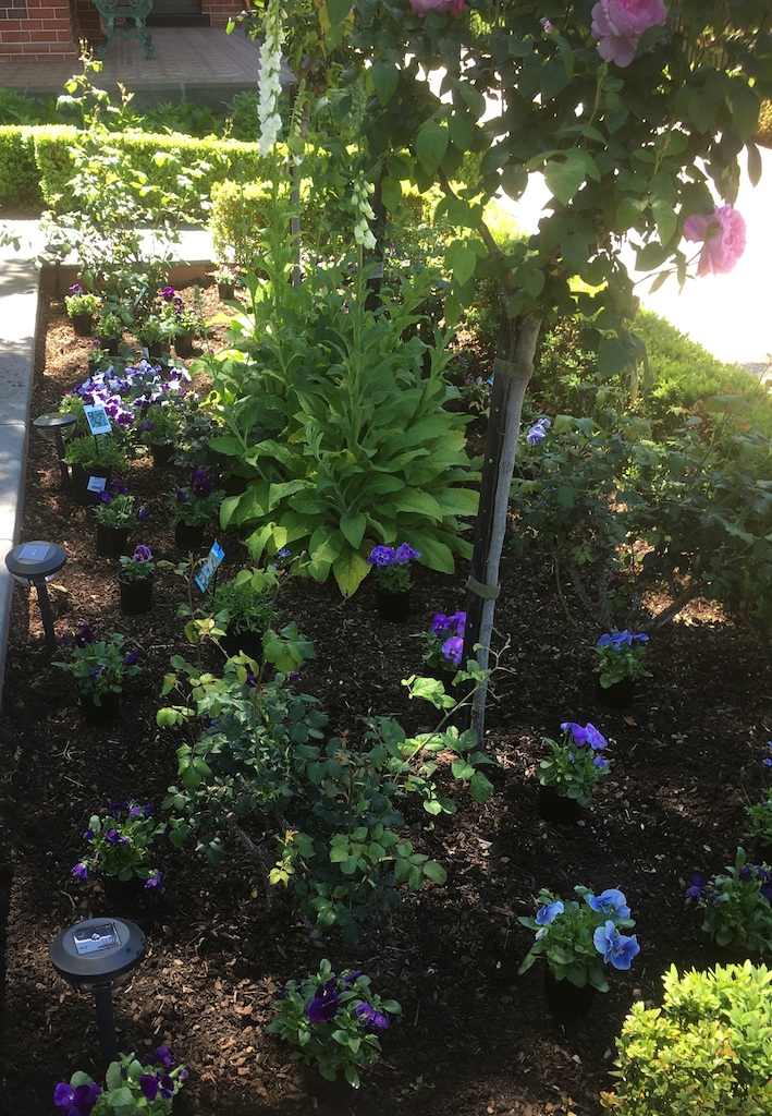 Residential Garden Maintenance